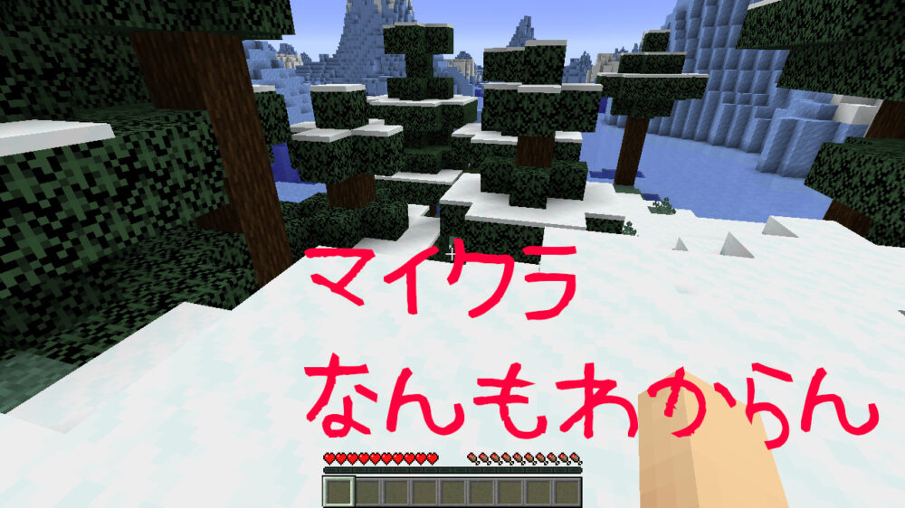 マイクラなんもわからん